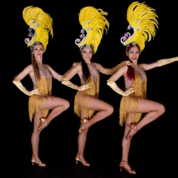 Professional Samba performers
